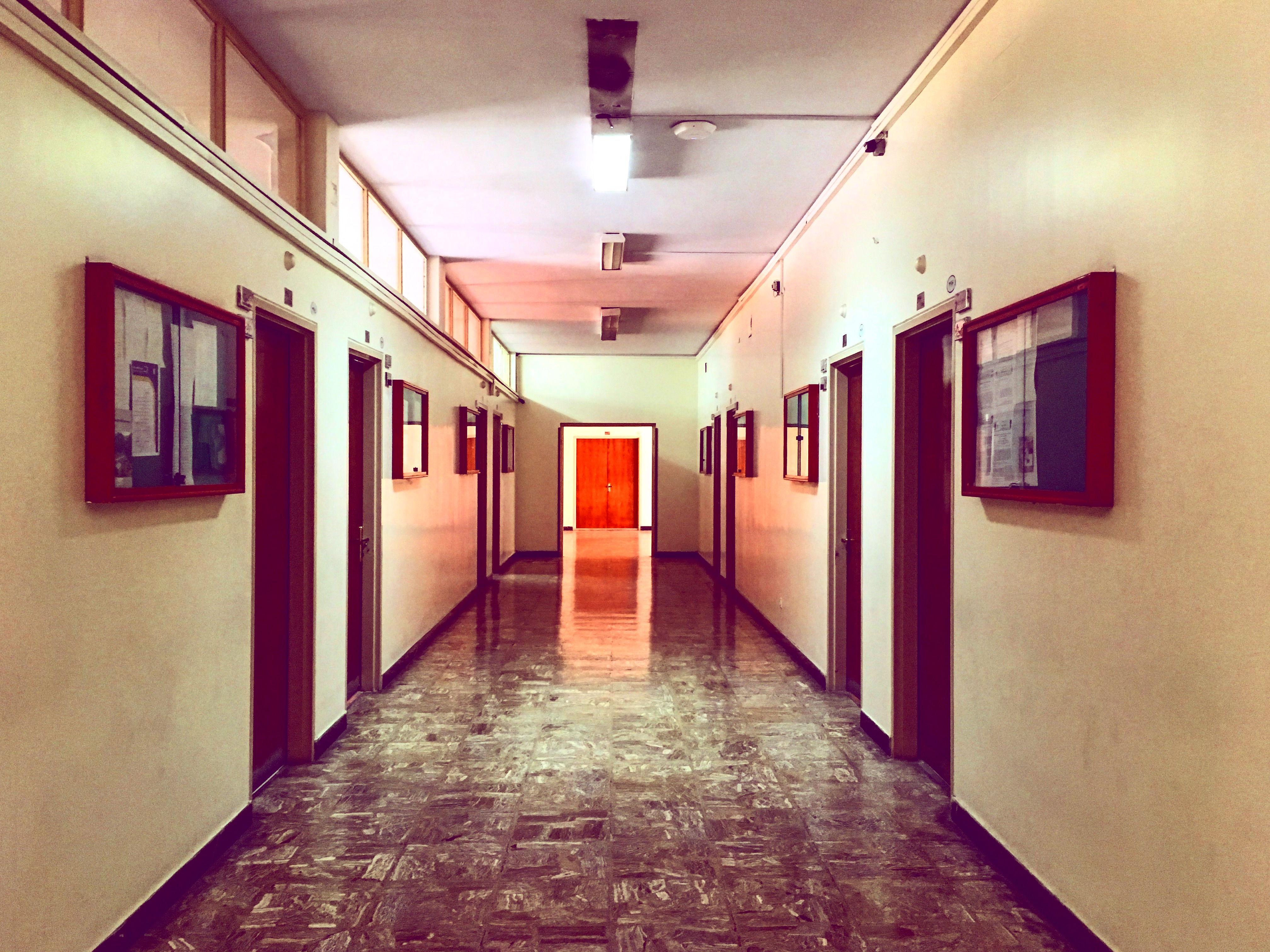 Tehran University 2017